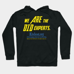 We ARE the DID Experts Hoodie